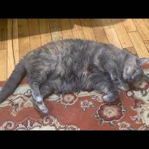 Meet your Posher, Hugh